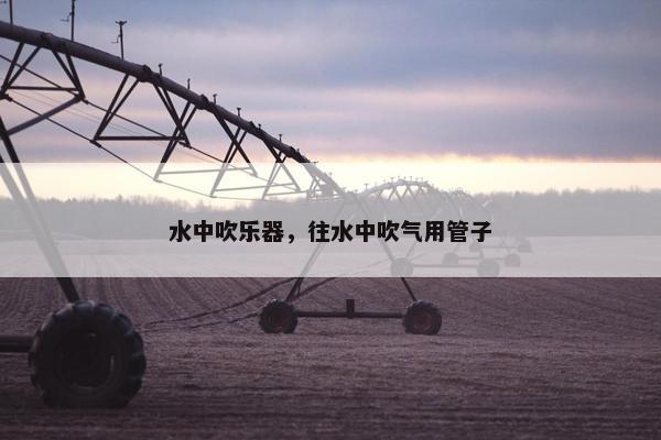水中吹乐器，往水中吹气用管子