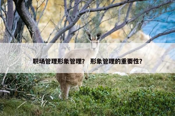 职场管理形象管理？ 形象管理的重要性？