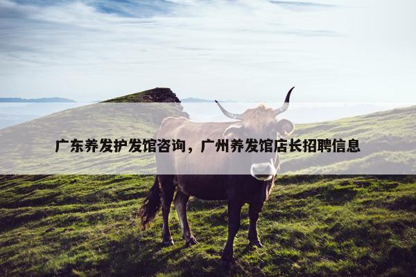 广东养发护发馆咨询，广州养发馆店长招聘信息