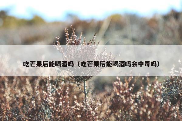 吃芒果后能喝酒吗（吃芒果后能喝酒吗会中毒吗）