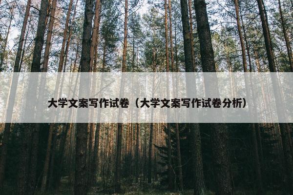 大学文案写作试卷（大学文案写作试卷分析）