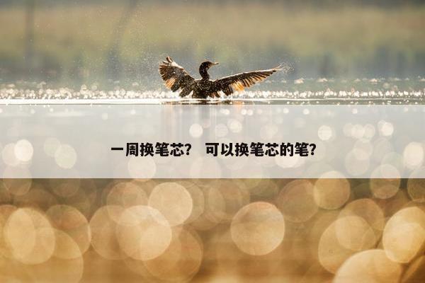 一周换笔芯？ 可以换笔芯的笔？