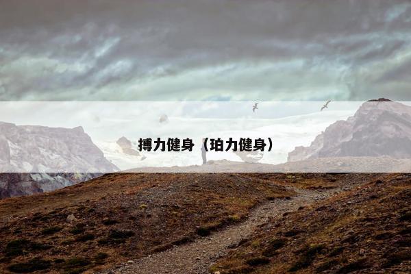 搏力健身(珀力健身) 搏力健身(珀力健身)
