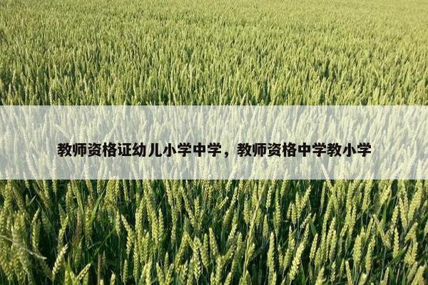 教师资格证幼儿小学中学，教师资格中学教小学