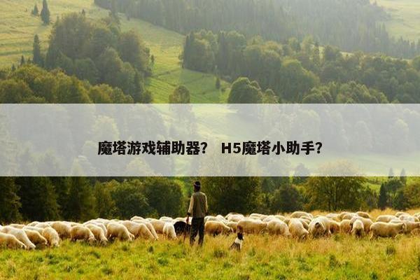魔塔游戏辅助器？ H5魔塔小助手？