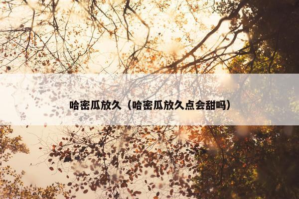 哈密瓜放久（哈密瓜放久点会甜吗）