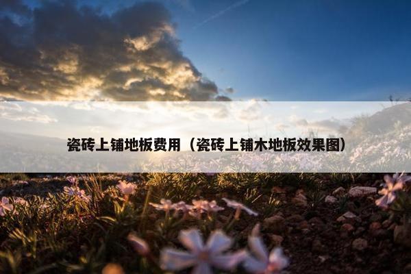 瓷砖上铺地板费用（瓷砖上铺木地板效果图）
