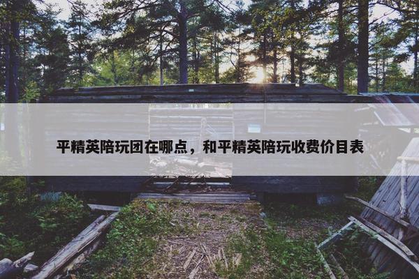 平精英陪玩团在哪点,和平精英陪玩收费价目表 平精英陪玩团在哪点,和平精英陪玩收费价目表