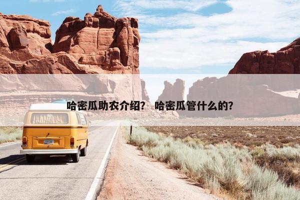哈密瓜助农介绍? 哈密瓜管什么的? 哈密瓜助农介绍? 哈密瓜管什么的?
