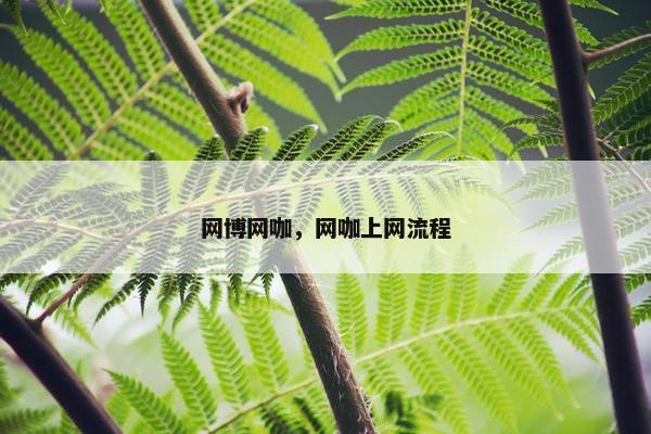 网博网咖，网咖上网流程