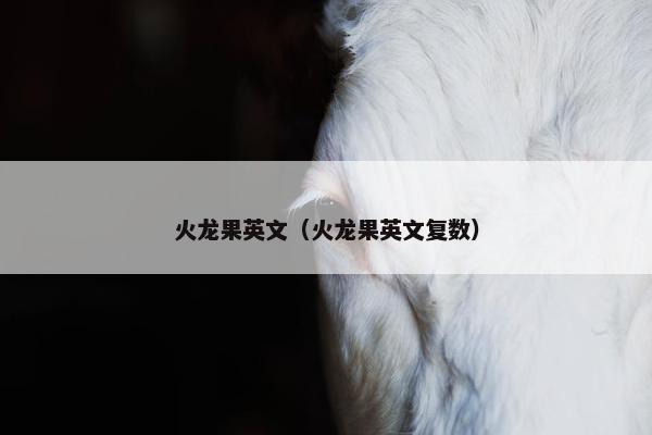 火龙果英文（火龙果英文复数）