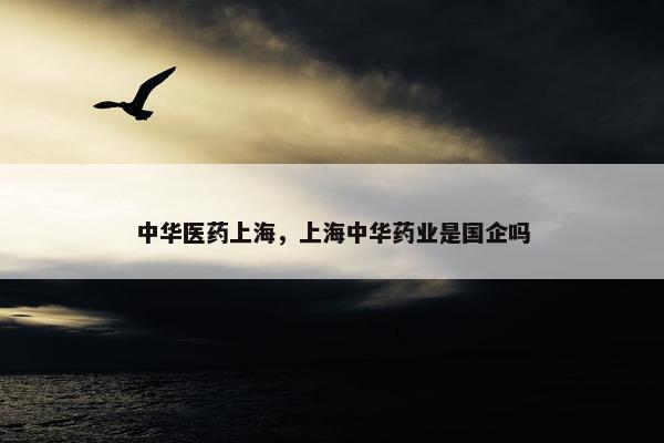 中华医药上海，上海中华药业是国企吗