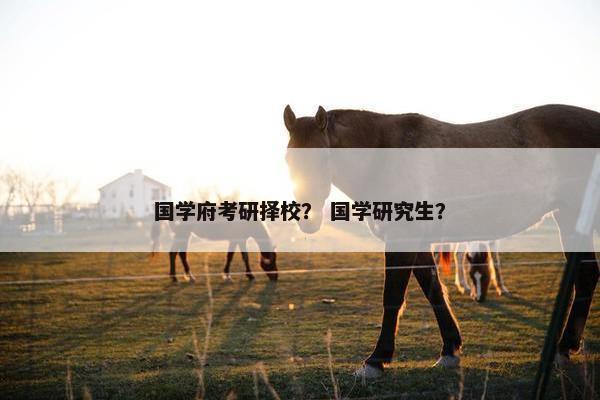 国学府考研择校？ 国学研究生？