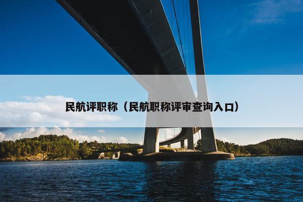 民航评职称（民航职称评审查询入口）