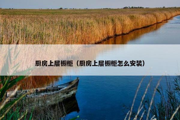 厨房上层橱柜（厨房上层橱柜怎么安装）