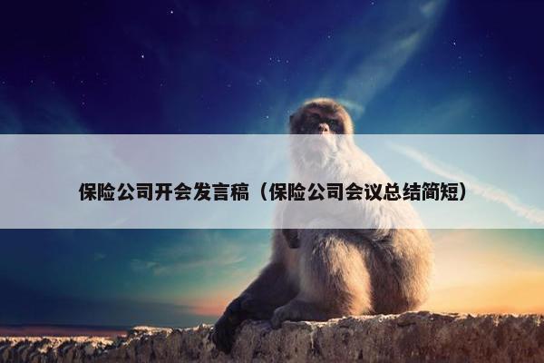 保险公司开会发言稿（保险公司会议总结简短）