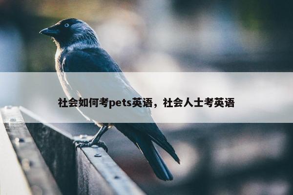 社会如何考pets英语，社会人士考英语