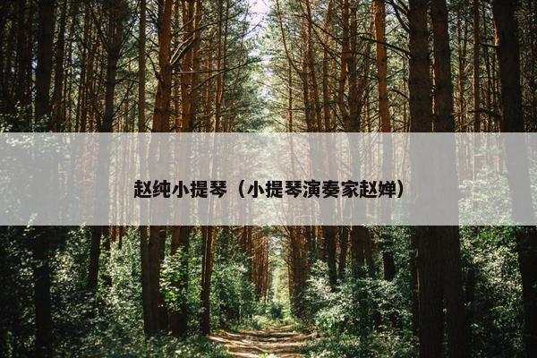 赵纯小提琴（小提琴演奏家赵婵）