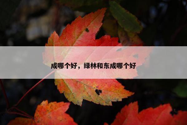 成哪个好，绿林和东成哪个好