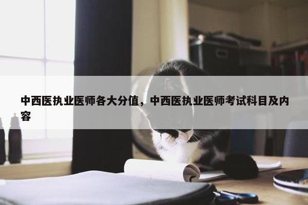中西医执业医师各大分值，中西医执业医师考试科目及内容