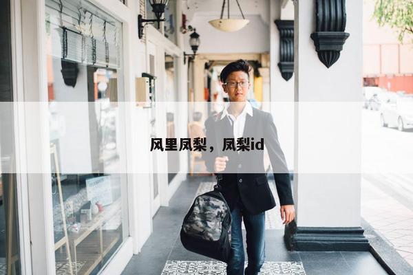 风里凤梨，凤梨id