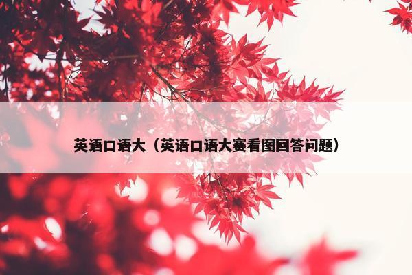 英语口语大（英语口语大赛看图回答问题）