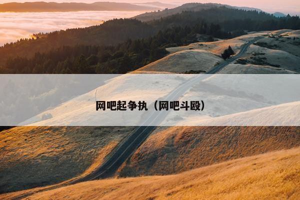 网吧起争执（网吧斗殴）