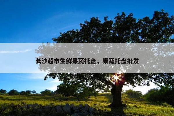 长沙超市生鲜果蔬托盘，果蔬托盘批发
