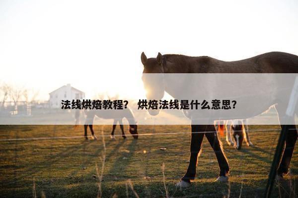 法线烘焙教程？ 烘焙法线是什么意思？
