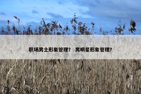 职场男士形象管理？ 男明星形象管理？