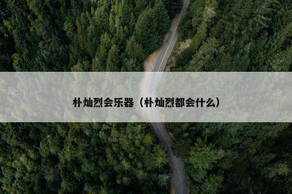 朴灿烈会乐器（朴灿烈都会什么）