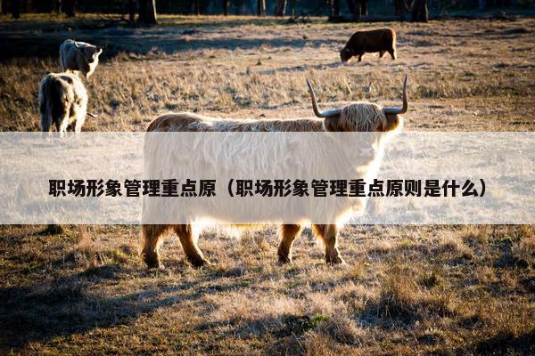 职场形象管理重点原(职场形象管理重点原则是什么) 职场形象管理重点原(职场形象管理重点原则是什么)
