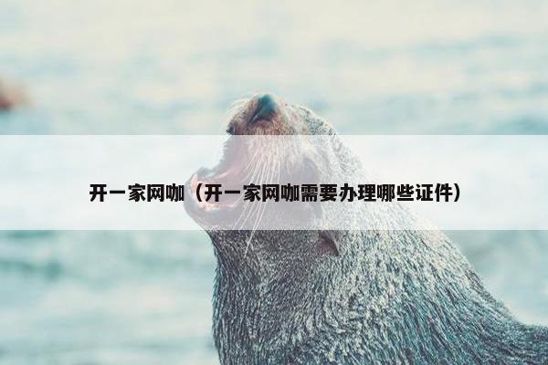 开一家网咖（开一家网咖需要办理哪些证件）