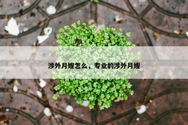 涉外月嫂怎么，专业的涉外月嫂