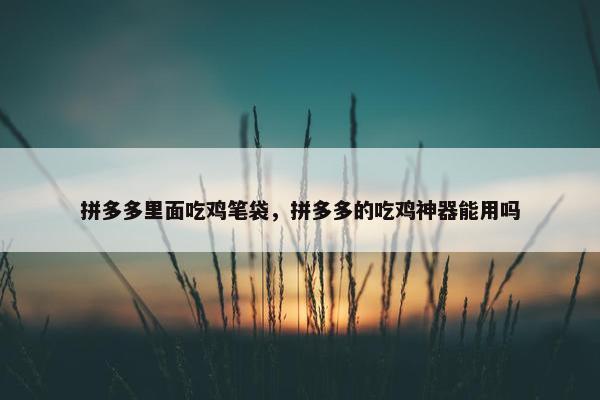 拼多多里面吃鸡笔袋，拼多多的吃鸡神器能用吗