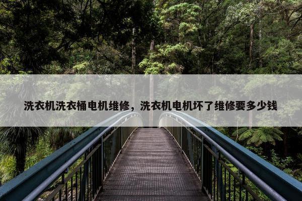 洗衣机洗衣桶电机维修，洗衣机电机坏了维修要多少钱