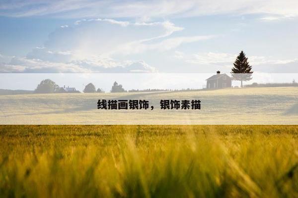 线描画银饰，银饰素描