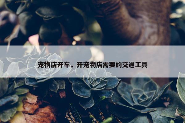 宠物店开车，开宠物店需要的交通工具