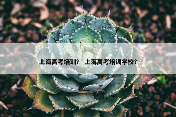 上海高考培训? 上海高考培训学校? 上海高考培训? 上海高考培训学校?
