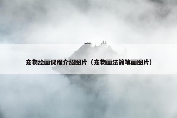 宠物绘画课程介绍图片（宠物画法简笔画图片）