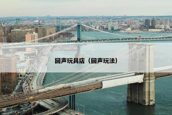 回声玩具店（回声玩法）