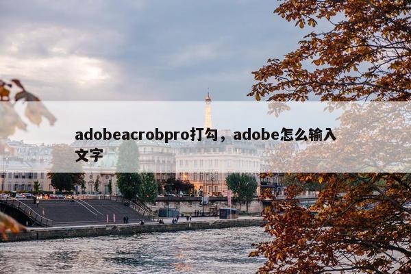 adobeacrobpro打勾，adobe怎么输入文字