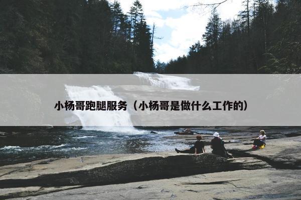 小杨哥跑腿服务（小杨哥是做什么工作的）