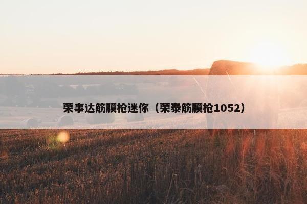 荣事达筋膜枪迷你（荣泰筋膜枪1052）