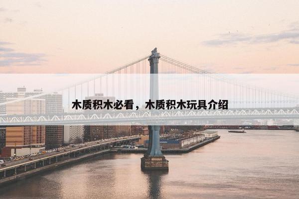 木质积木必看，木质积木玩具介绍