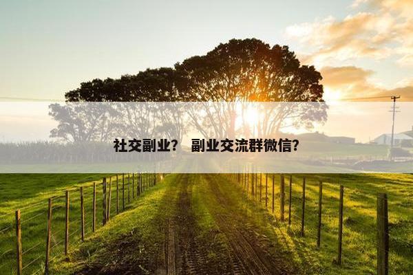 社交副业？ 副业交流群微信？
