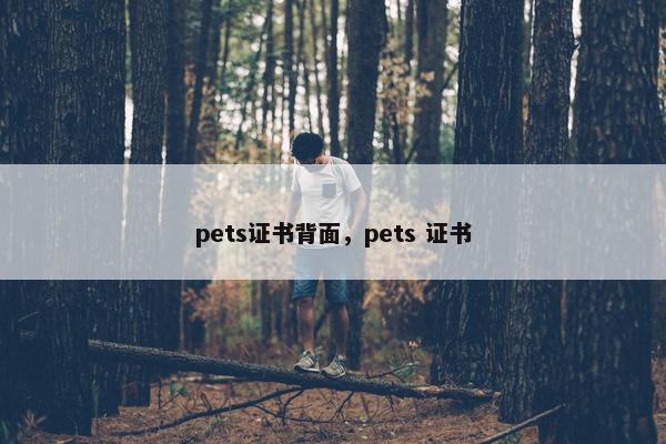 pets证书背面，pets 证书