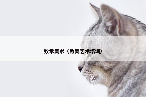 致禾美术（致美艺术培训）