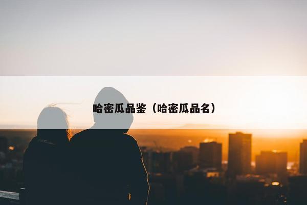 哈密瓜品鉴（哈密瓜品名）