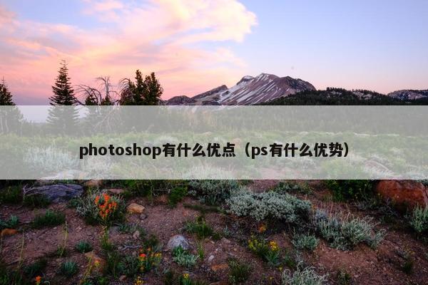 photoshop有什么优点(ps有什么优势) photoshop有什么优点(ps有什么优势)
